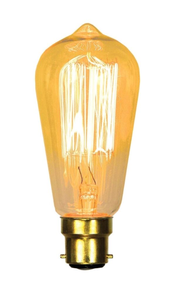 Squirrel Cage Vintage Bulb