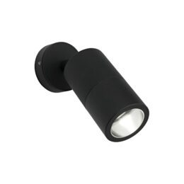 Exterior Single Spot Wall Light